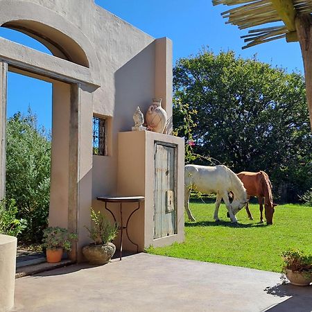 הוילה היידלברג Akasha Mountain Retreat, New Location מראה חיצוני תמונה
