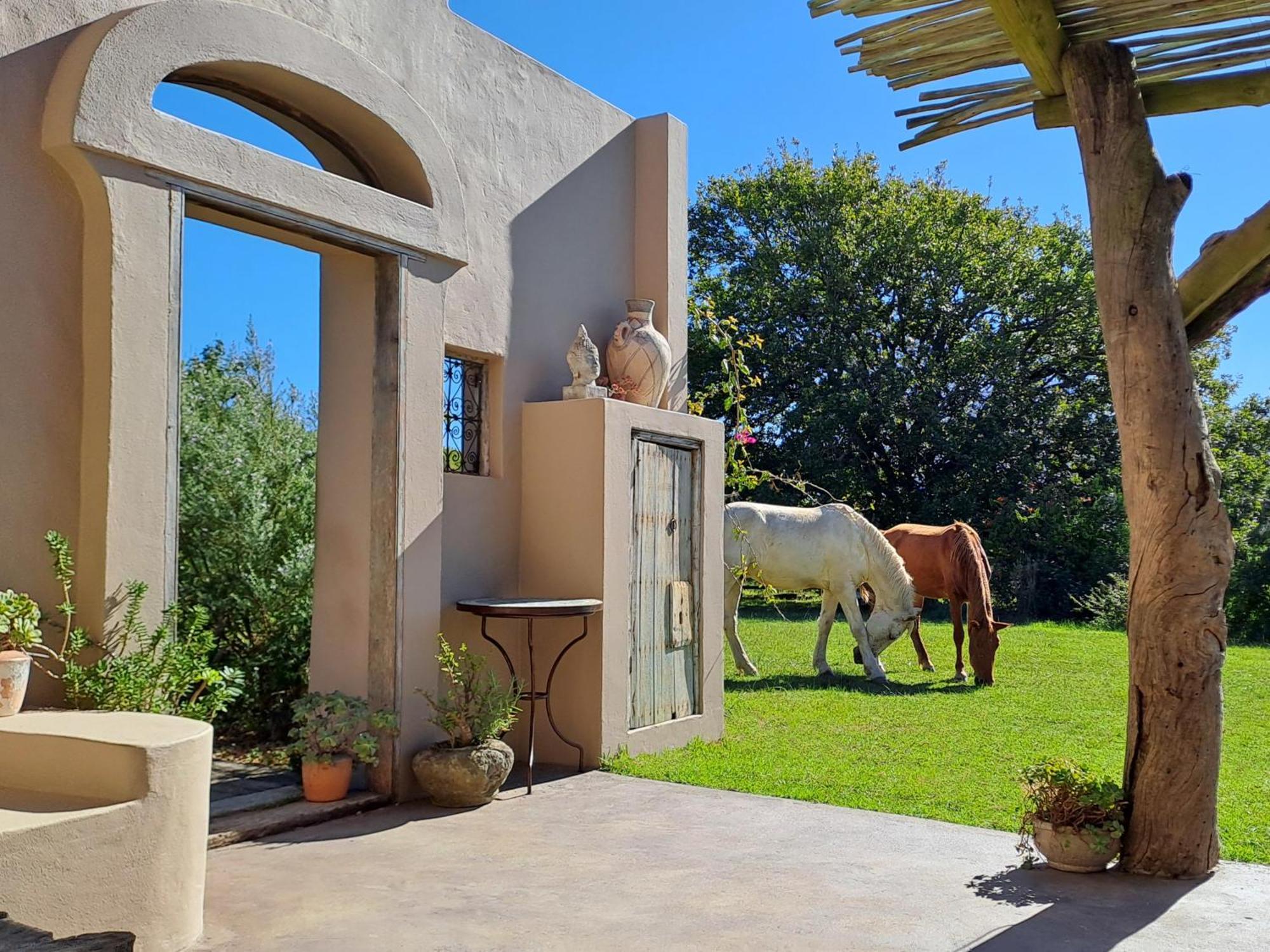 הוילה היידלברג Akasha Mountain Retreat, New Location מראה חיצוני תמונה